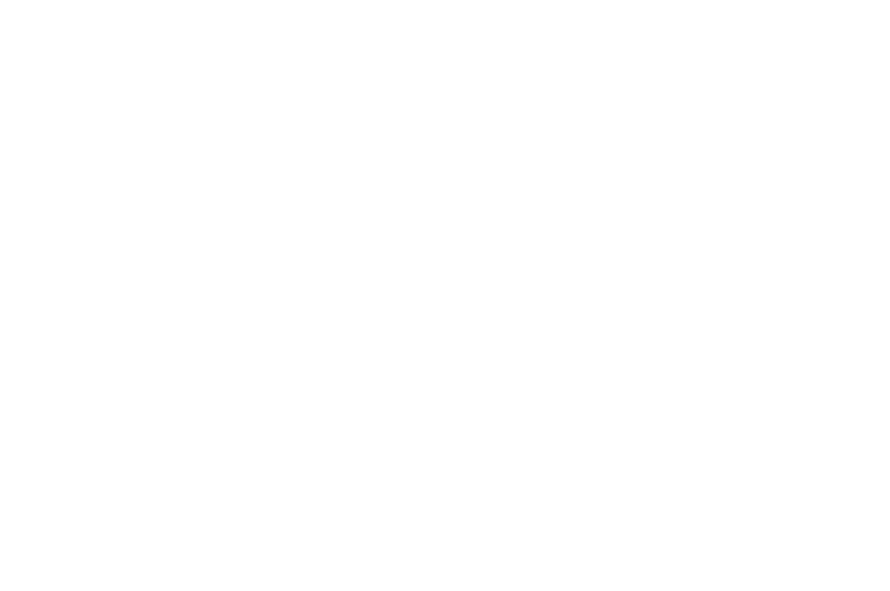 Finalist — Oregon Short Film Festival